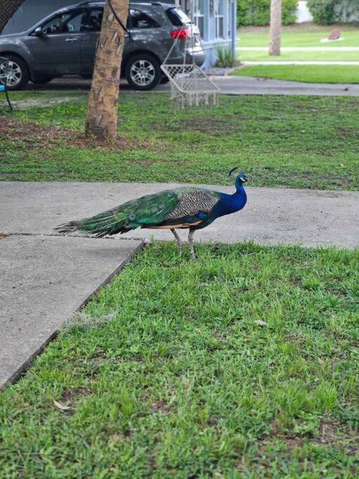 Nature Coast Getaway #1 - Cozy 2 Bedroom Hébergement de vacances Homosassa