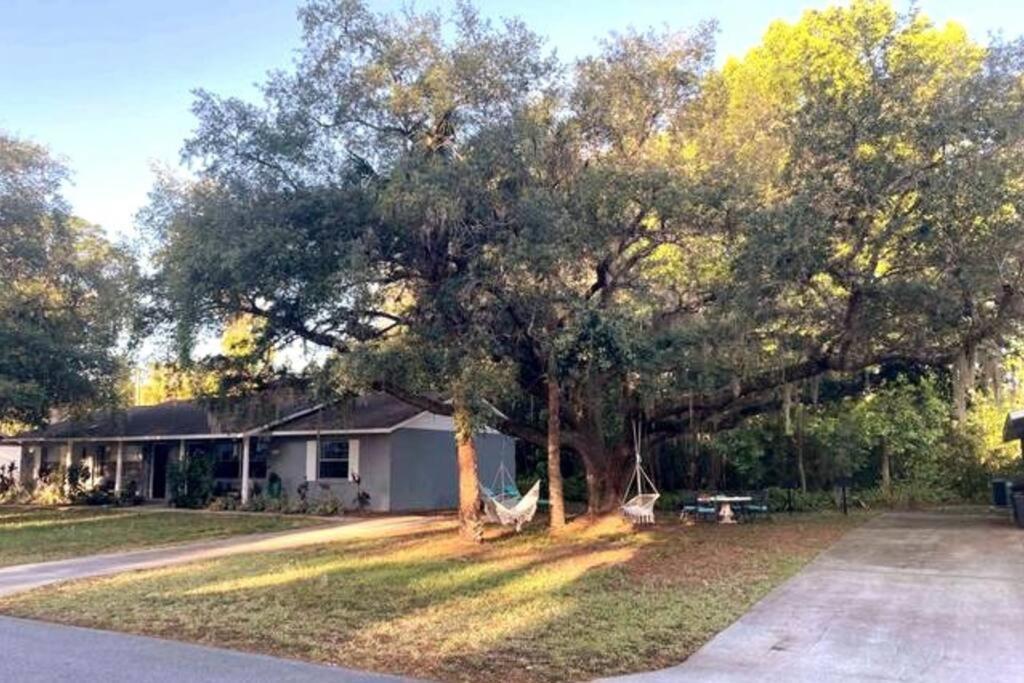 Nature Coast Getaway #1 - Cozy 2 Bedroom Homosassa